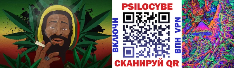 Псилоцибиновые грибы Psilocybe  мориарти официальный сайт  Мирный  купить  