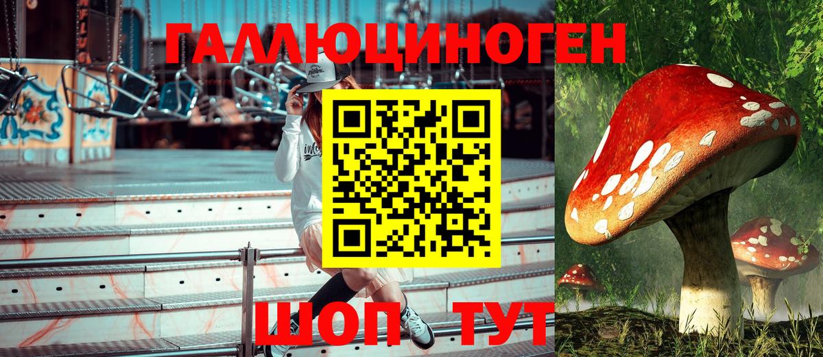 Галлюциногенные грибы Psilocybine cubensis Мирный